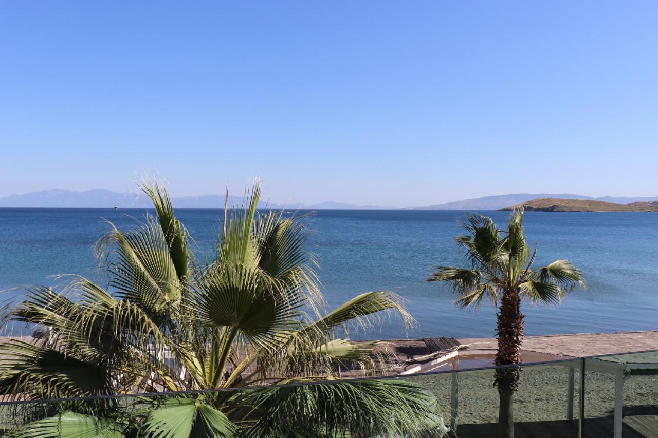 Zest Exclusive Hotel & Spa Ortakent Εξωτερικό φωτογραφία